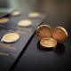 Gold Maplegram 2022 (25 x 1g Münzen)
