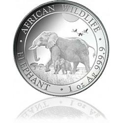 Somalia Elefant 2022