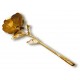 Gold Rose