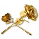 Gold Rose