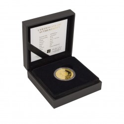 1/2 oz Gold Arche Noah 2017
